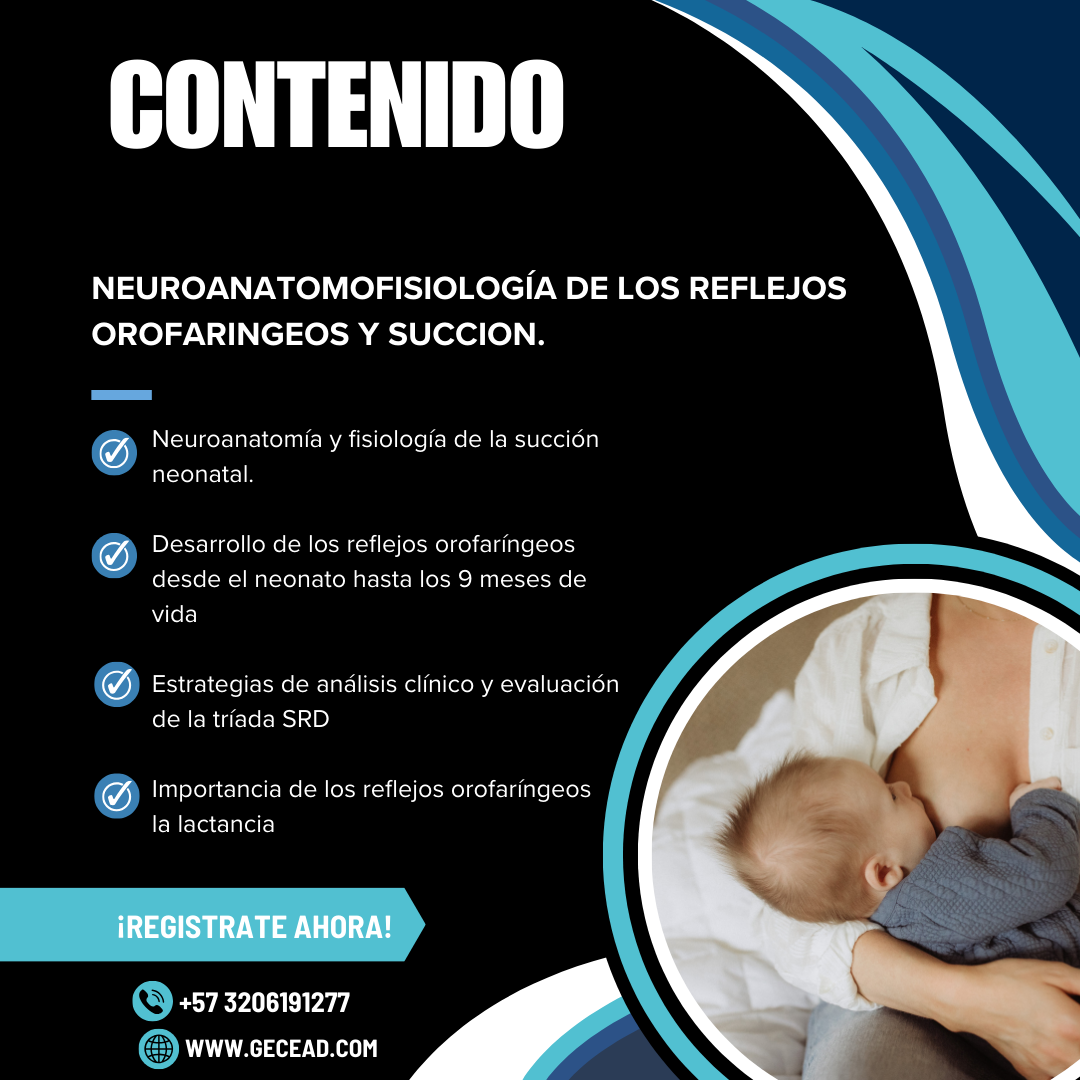 Neuroanatomofisiología de los Reflejos Orofaríngeos y Succión del Neonato. Raciocinio Clinico parte 2